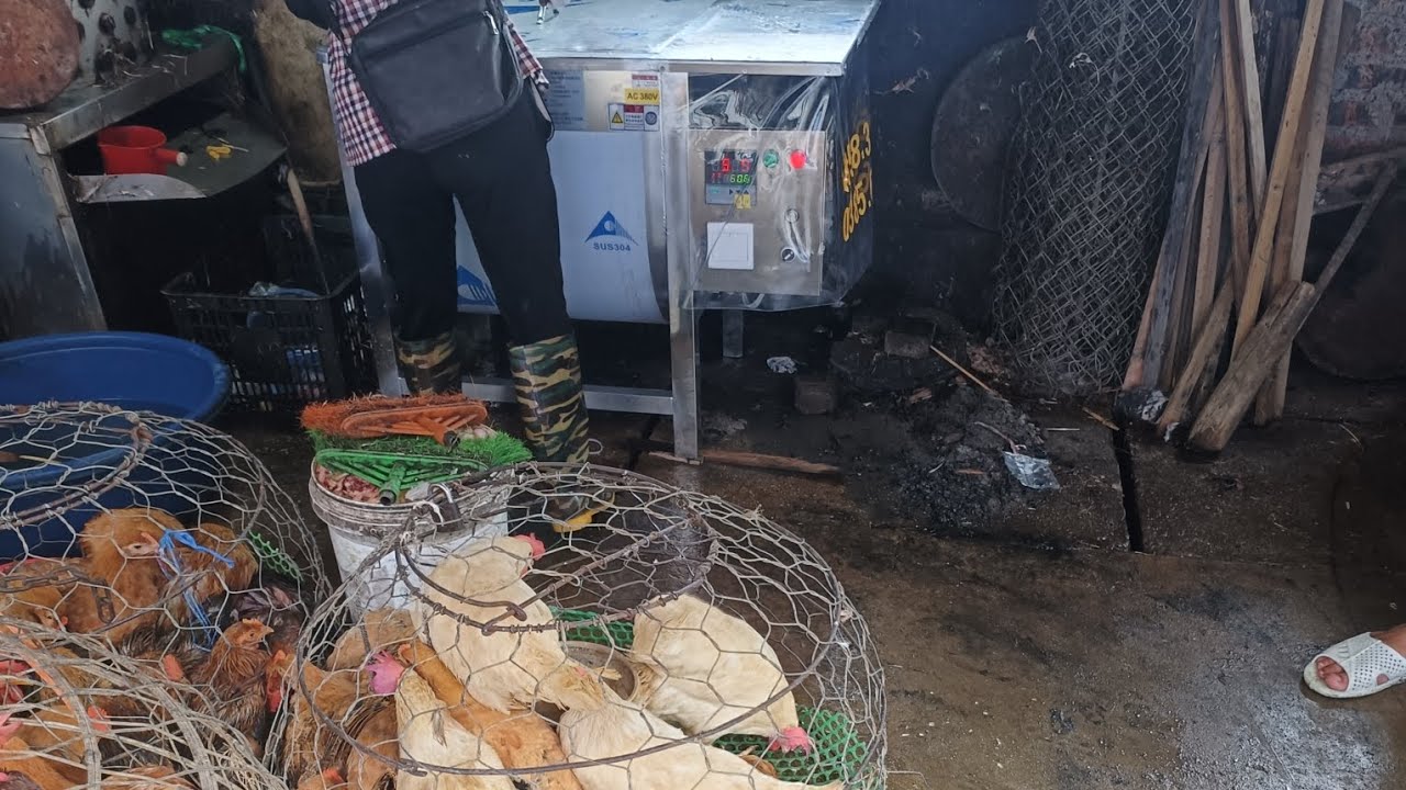 sửa nồi nhúng gà vịt