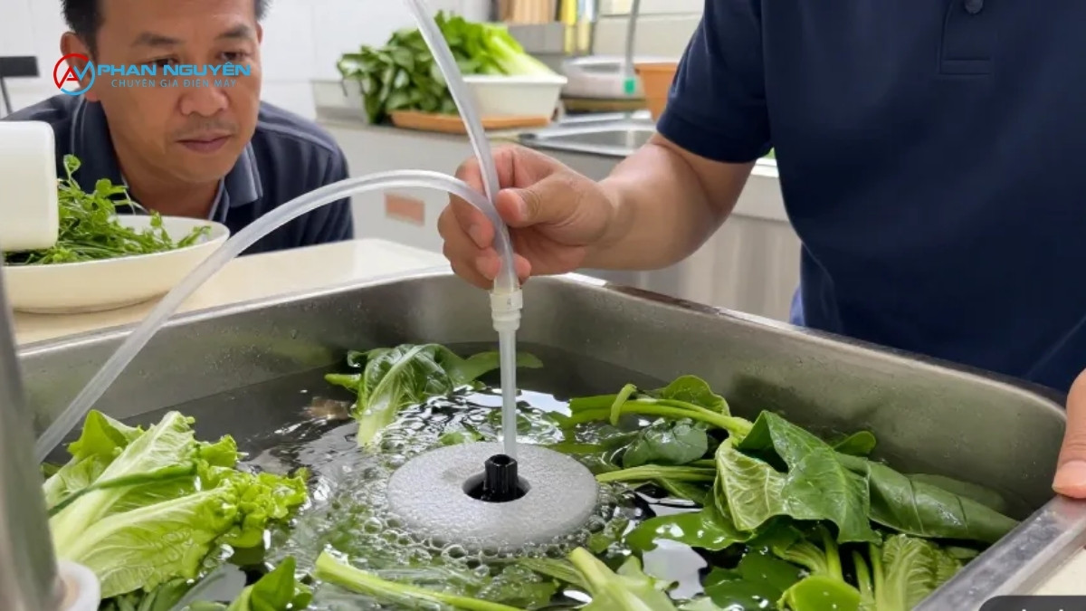 4 Nguyên Nhân Chính Khiến Máy Rửa Rau Không Ra Bọt