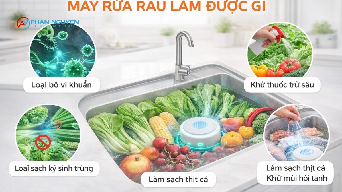 Máy Rửa Rau Làm Được Gì