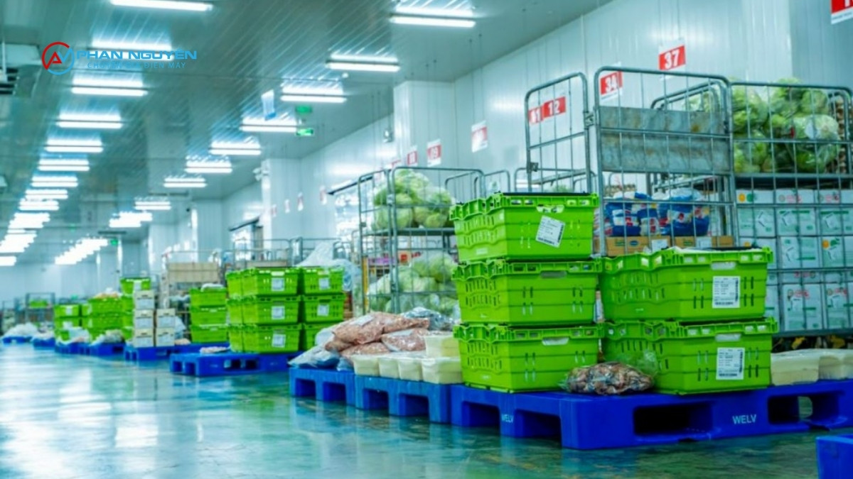 5 Tiêu Chí Nhận Biết Công Ty Sửa Kho Lạnh Uy Tín – Tránh Rủi Ro Khi Chọn Sai