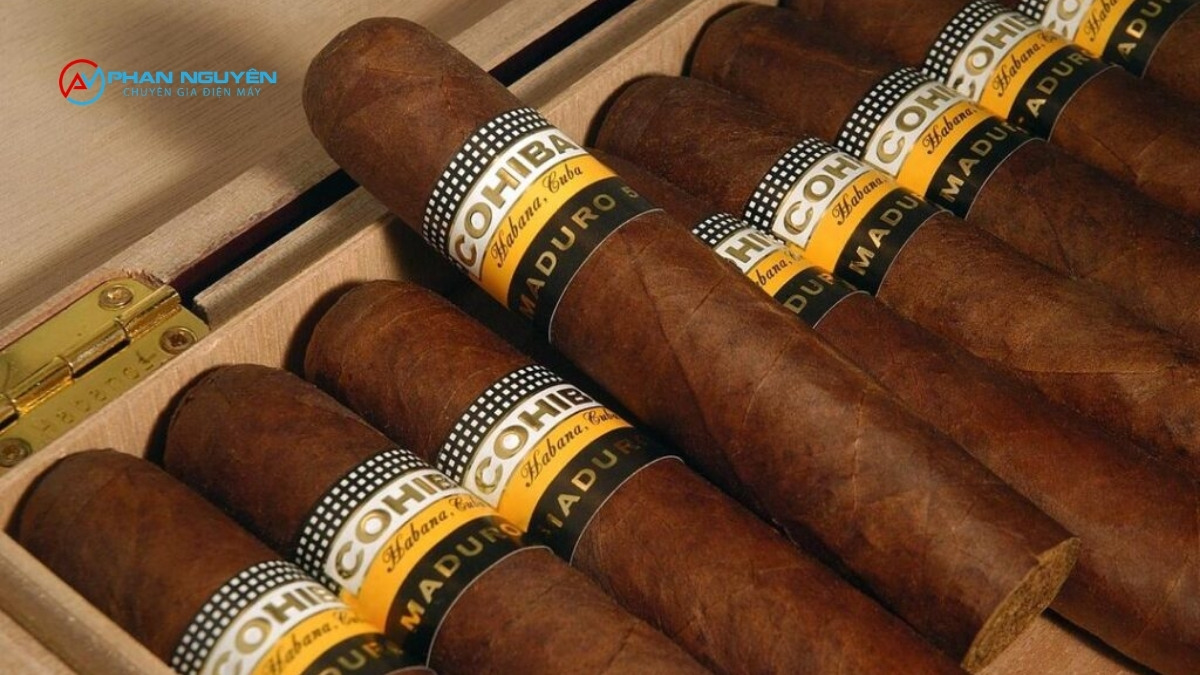 Bảo Dưỡng Tủ Bảo Quản Cigar Định Kỳ – Kéo Dài Tuổi Thọ Thiết Bị