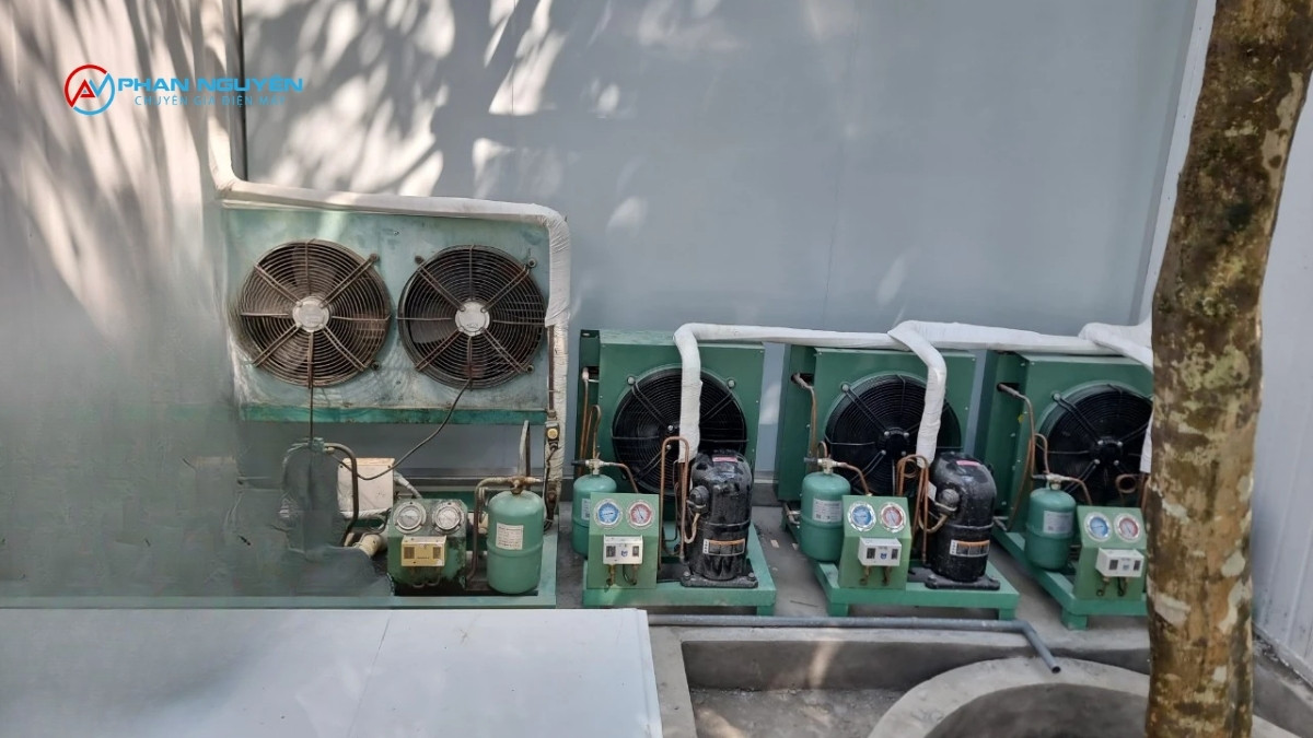 Dịch Vụ Sửa Kho Lạnh Của Phan Nguyên Bao Gồm Những Gì?