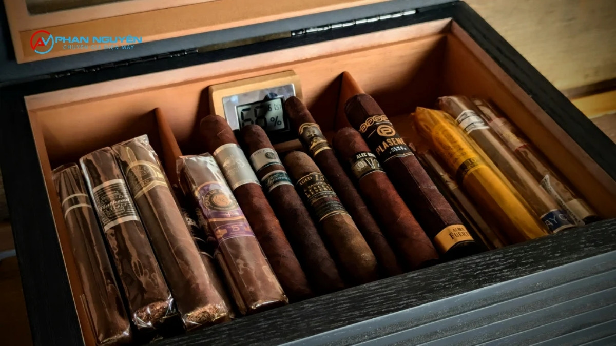 Khi Tủ Cigar Vừa Kêu Vừa Chảy Nước Cùng Lúc – Đây Là Lỗi Kép Cần Ưu Tiên Xử Lý