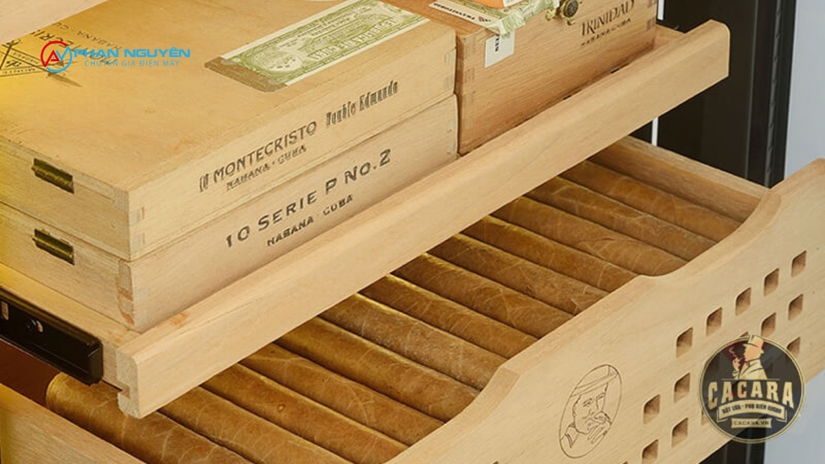 Nhận Sửa Tất Cả Thương Hiệu Tủ Bảo Quản Cigar Cao Cấp