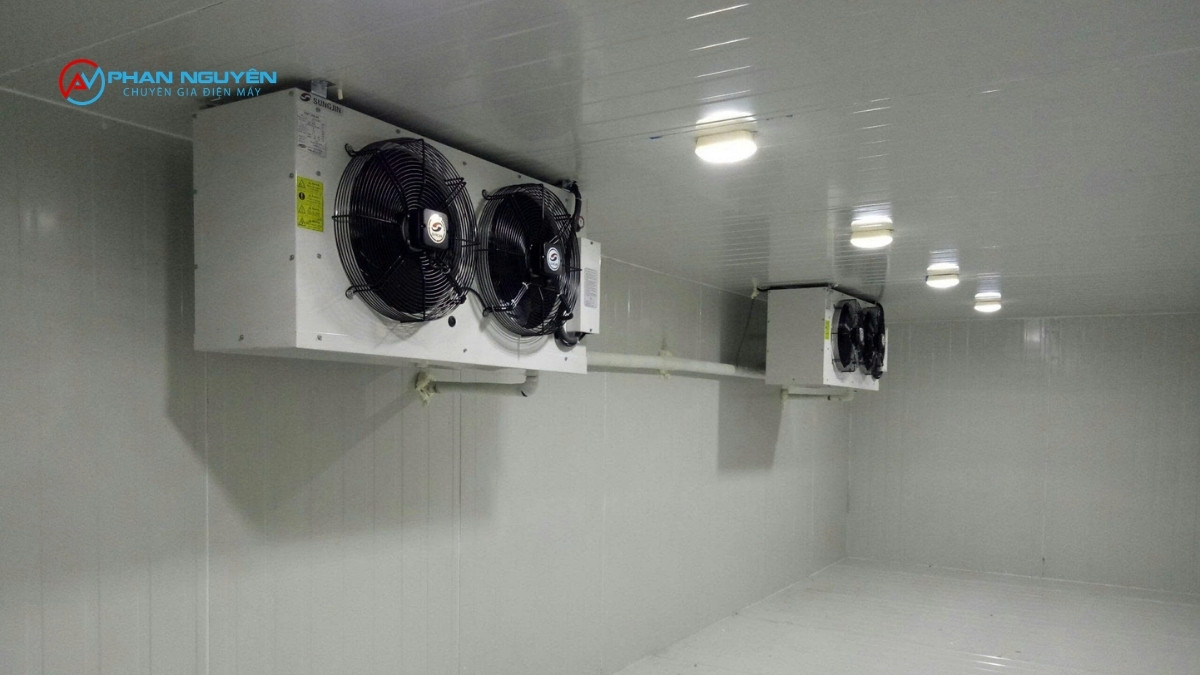 Phan Nguyên Phủ Sóng Sửa Kho Lạnh Ở Đâu Tại Miền Bắc?