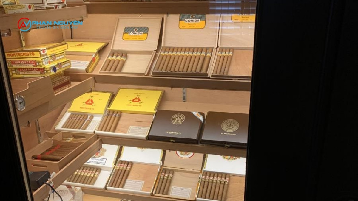 Phục Hồi Độ Ẩm Cho Cigar Sau Khi Tủ Gặp Sự Cố — Làm Đúng Cách