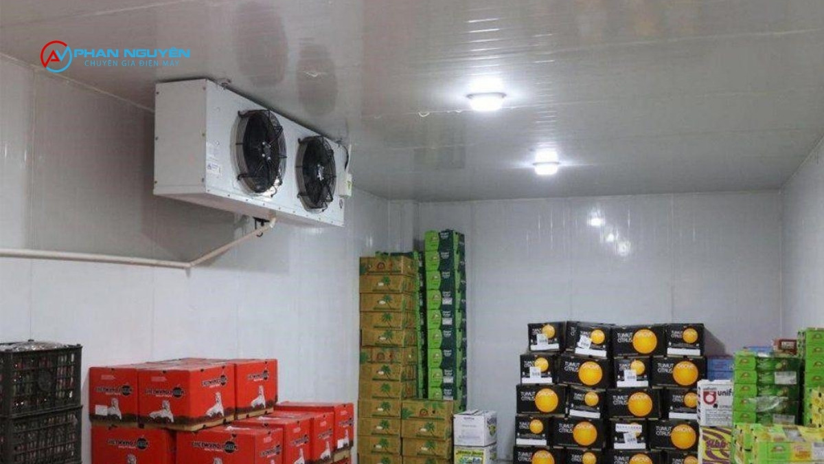 1 Cụm Máy Nén Hay 2 Cụm Máy Nén — Đây Mới Là Quyết Định Ảnh Hưởng Đến Vận Hành Lâu Dài