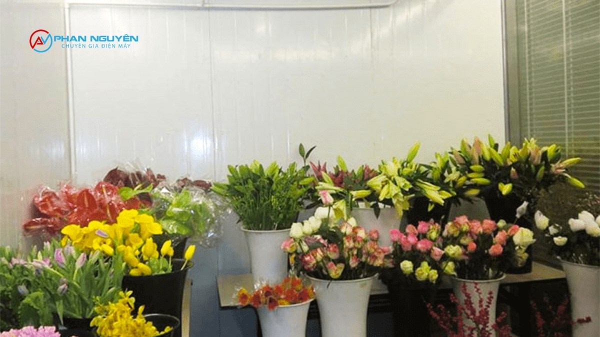 Báo Giá Lắp Đặt Kho Lạnh Bảo Quản Hoa Tham Khảo