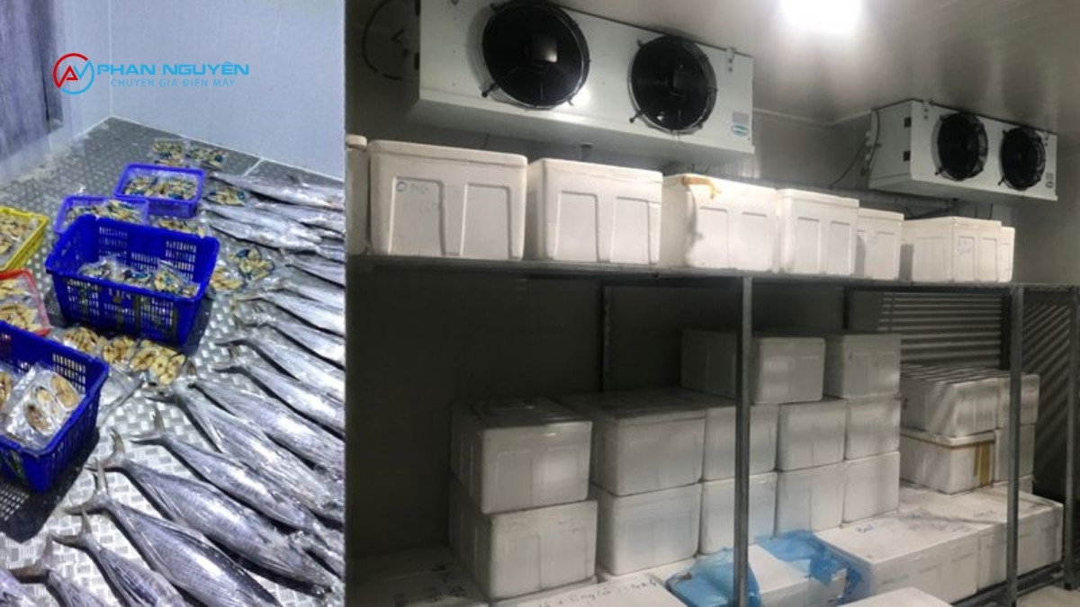 Báo Giá Sửa Kho Lạnh Hải Sản — Minh Bạch, Không Phát Sinh