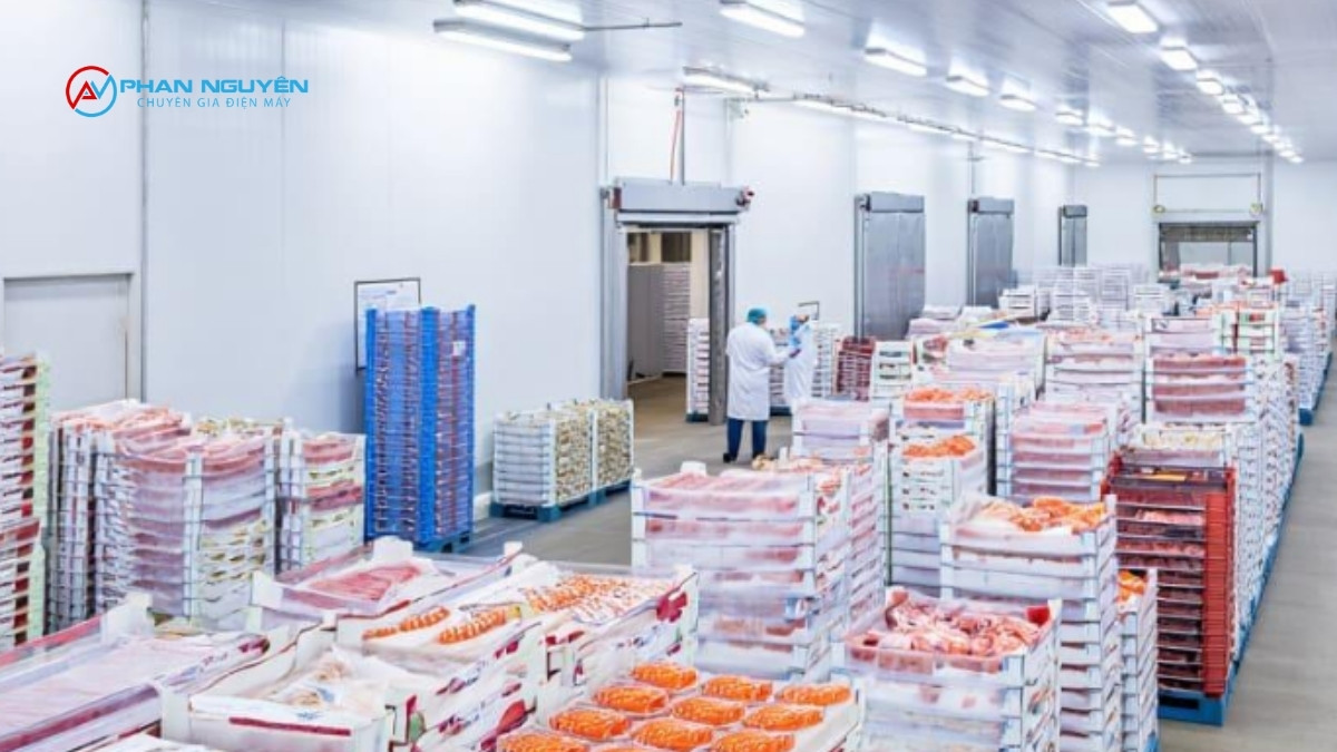 Cá Nước Ngọt Nuôi Trồng Và Cá Biển Đánh Bắt Miền Bắc: Hai Bài Toán Kỹ Thuật Riêng Biệt