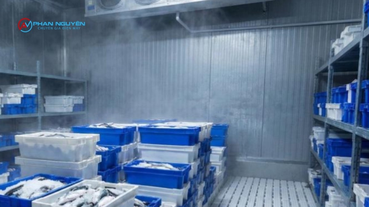 Các Hạng Mục Sửa Chữa Kho Lạnh Cá Phan Nguyên Xử Lý
