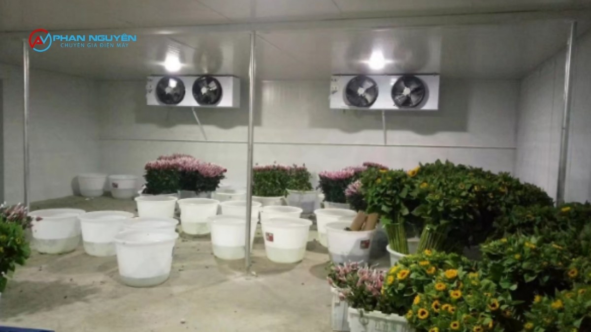 Cấu Hình Kho Lạnh Bảo Quản Hoa Khác Gì So Với Kho Lạnh Thực Phẩm?