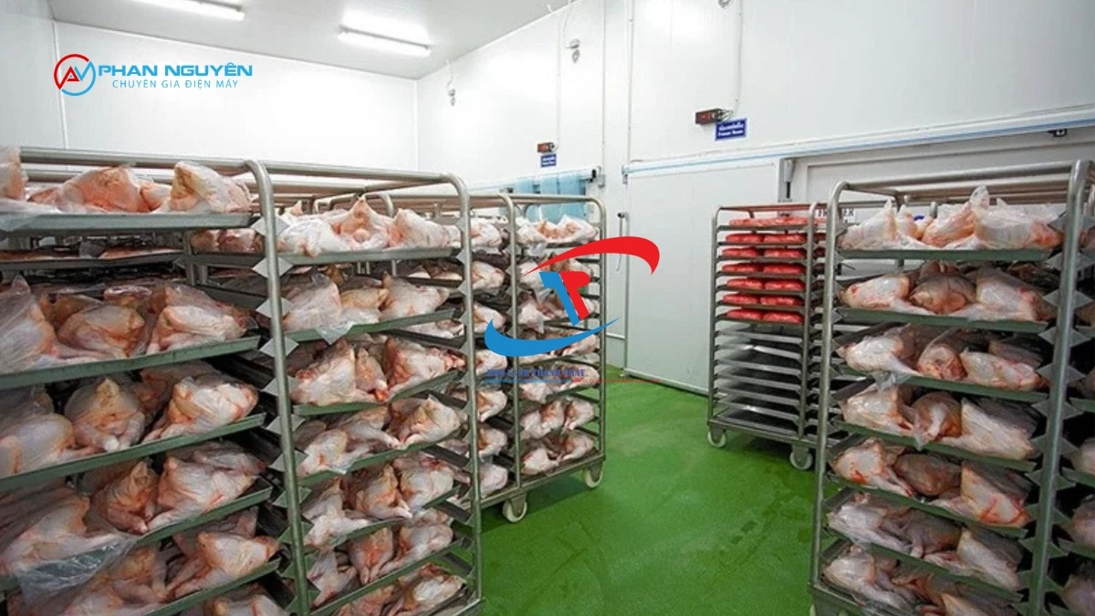 Kho Lạnh Bảo Quản Thịt Yêu Cầu Nhiệt Độ Bao Nhiêu – Và Tại Sao Phải Đúng Tuyệt Đối