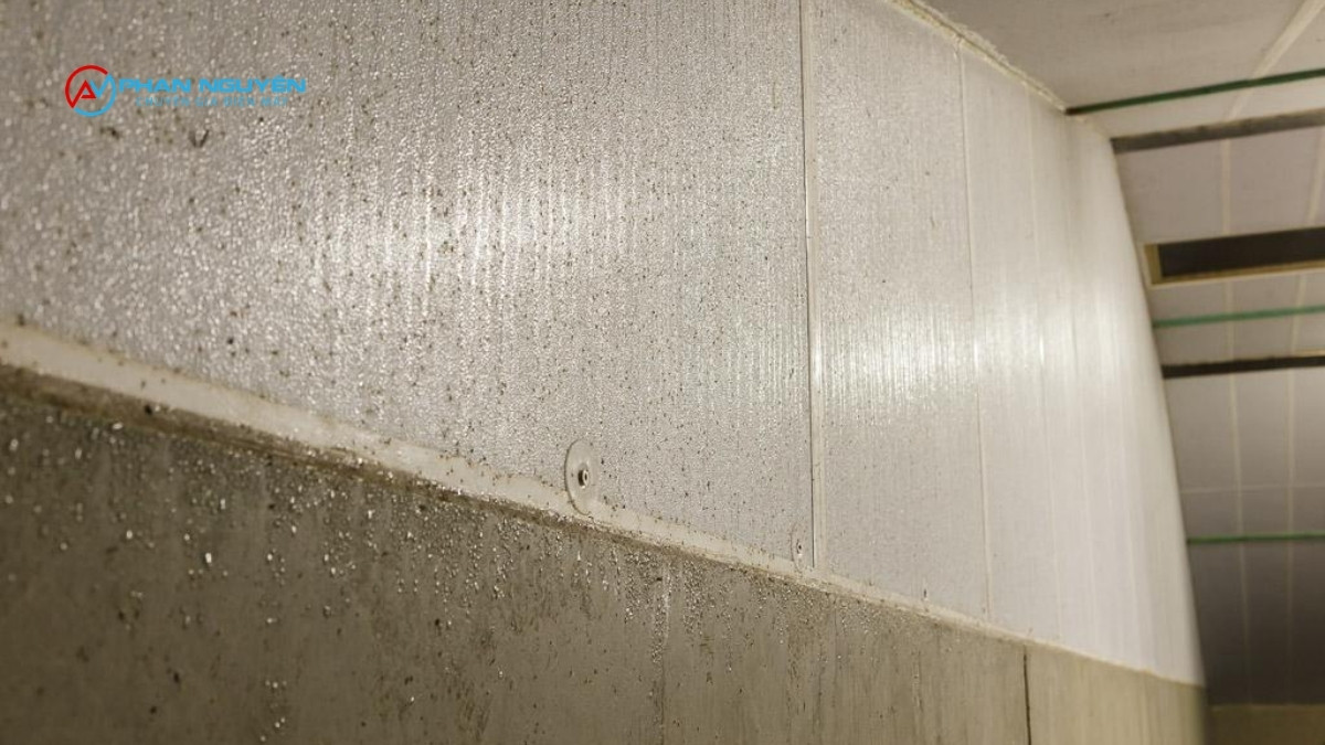 Kho Lạnh Chảy Nước, Đọng Nước Nền — Phân Biệt 3 Nguồn Gốc Khác Nhau
