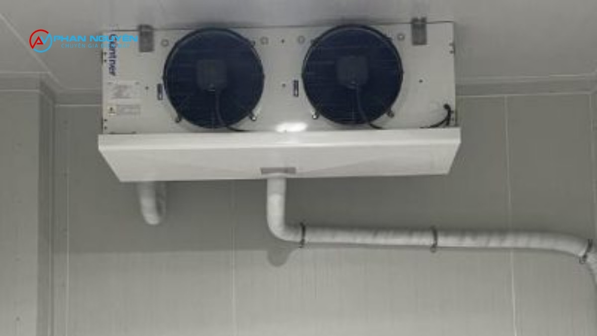 Nguyên Nhân Gốc Rễ Thường Gặp Đằng Sau Các Dấu Hiệu Trên