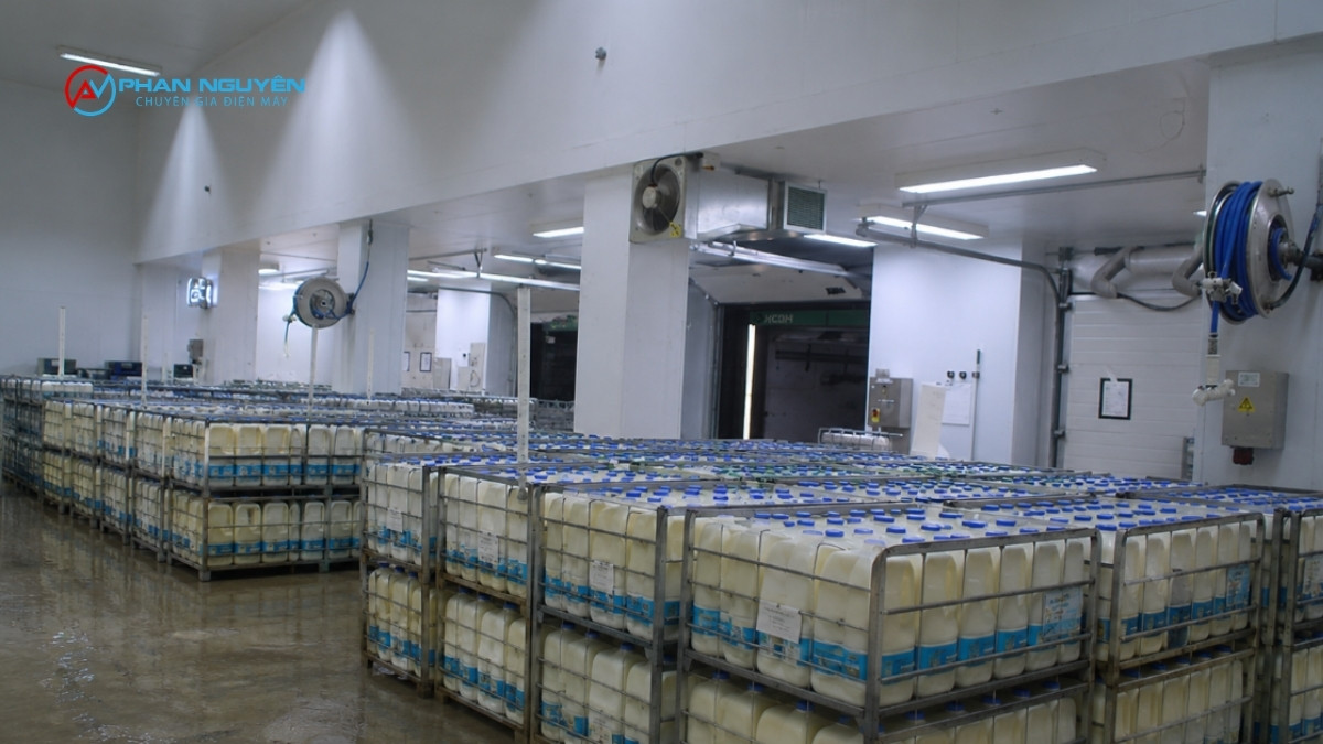 Quy Trình Thiết Kế, lắp đặt kho lạnh bảo quản sữa Của Phan Nguyên — Từ Khảo Sát Đến Bàn Giao