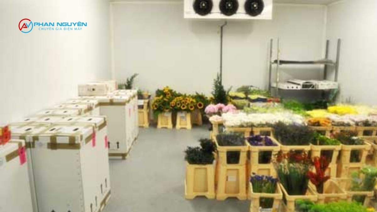 Tiêu Chuẩn Nhiệt Độ & Độ Ẩm Bảo Quản Cho Từng Loại Hoa